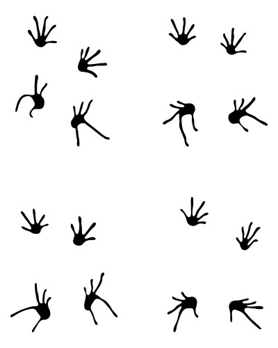 Lizard Footprints Vector Images (over 610)