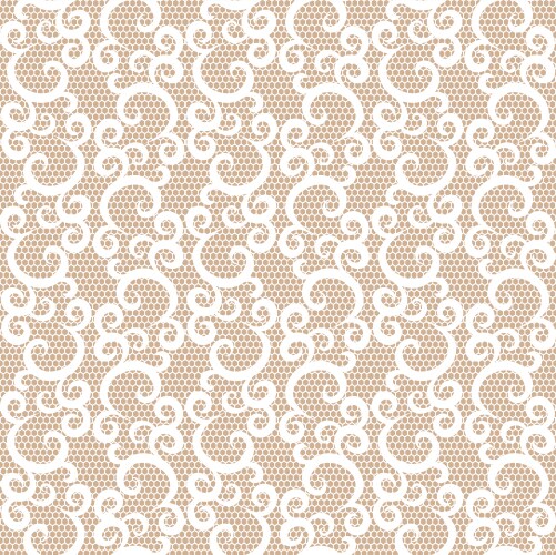 Vintage White Lace Seamless Pattern vector image