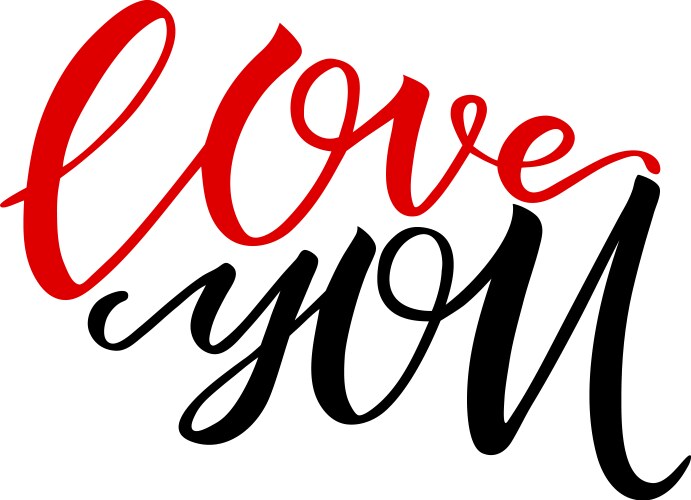 Unique brushpen lettering i love you calligraphic vector image