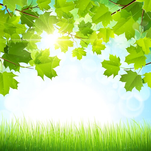 Natural green background Royalty Free Vector Image