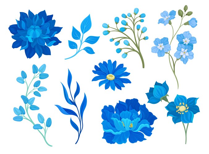 Collection drawings blue flowers and leaves vector image