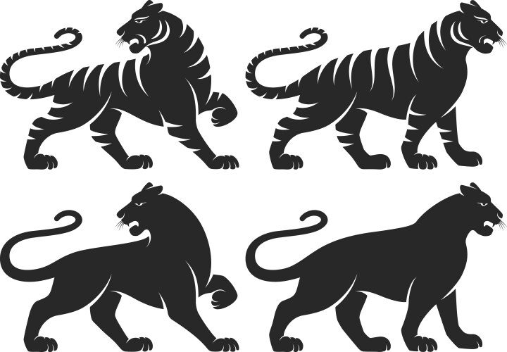 tiger set vector image vector image