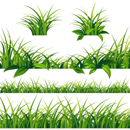Colorful eggs and spring green grass borders set Vector Image