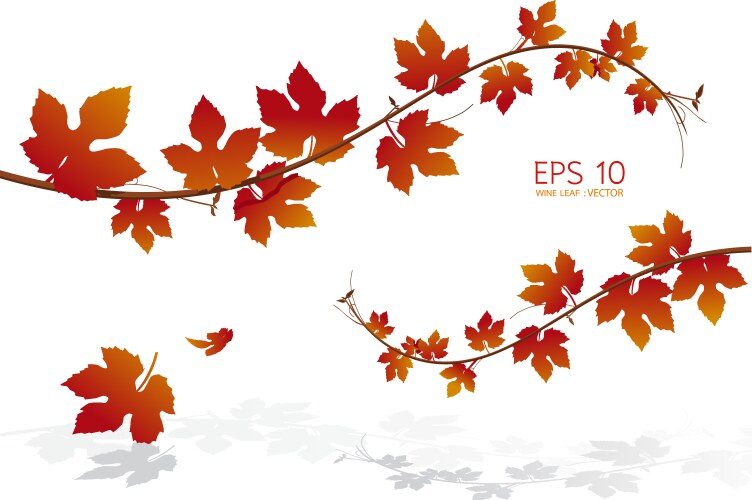 Green leaf background Royalty Free Vector Image