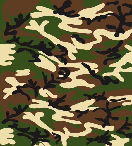 Camouflage Royalty Free Vector Image - VectorStock