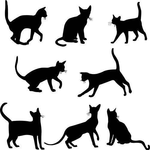 Cat Silhouettes - Collection of Feline Shapes Vector Image