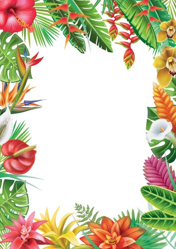 Tropical Floral Frame Vector Image
