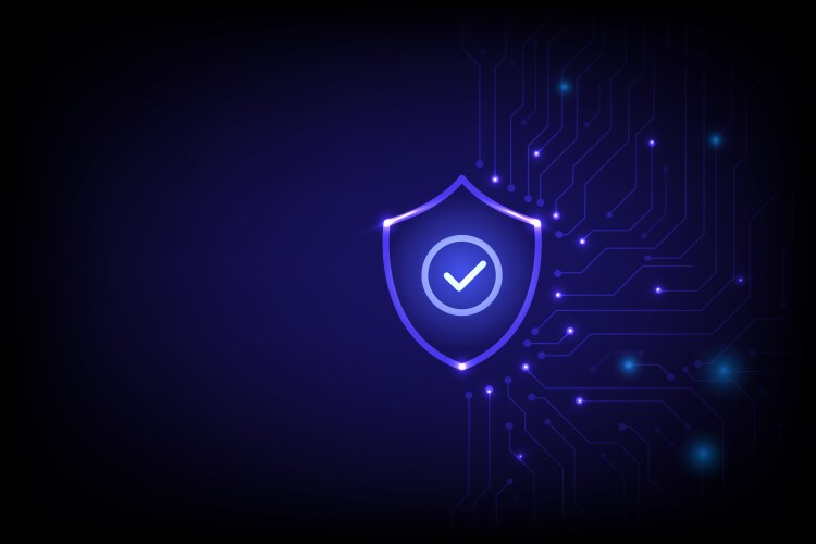 Security of internet storage database and data vector image