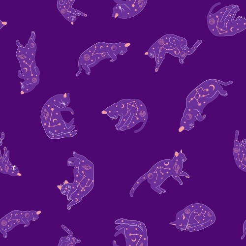 Mystical seamless pattern of cats in boho style vector image