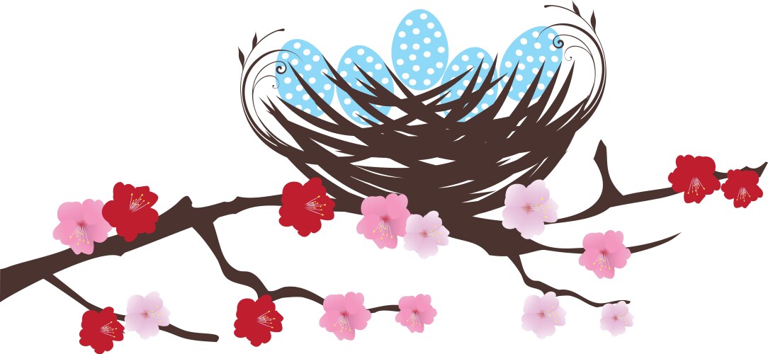 Hen laying eggs in its nest on white background Vector Image