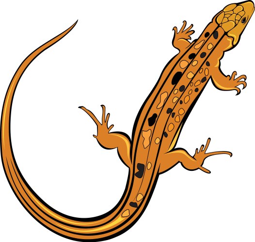 Gecko Raster Gecko Vector Images (over 5,600)