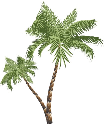 Colorful Palm Trees Vector Image