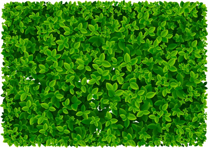 Leaf Pattern Vector Images (over 570,000)