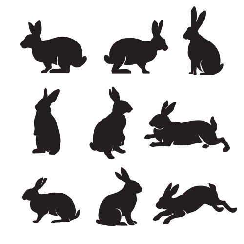 Rabbit Silhouettes Collection Vector Image