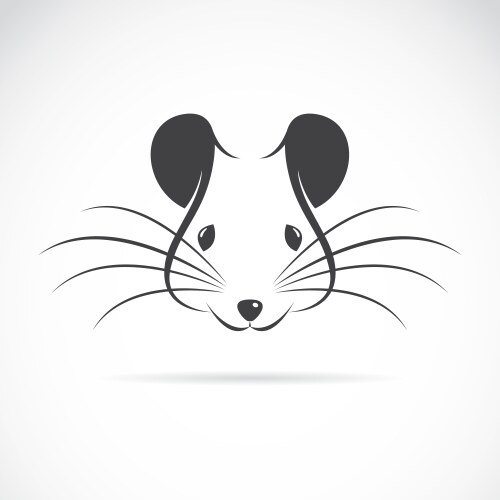 Rat Vector Images (over 30,000)