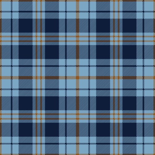 blue brown tartan plaid pattern vector image