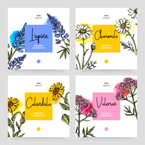 Hand drawn sketch watercolor wildflowers vector image