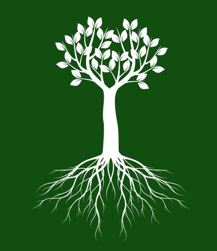 white tree with leaves on green background vector image