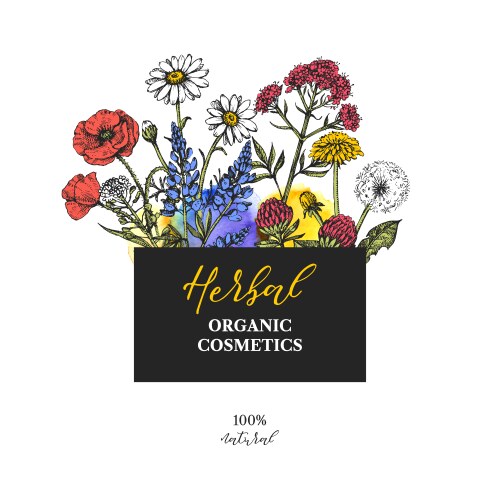 Watercolor Wildflower Sketch Vector Image