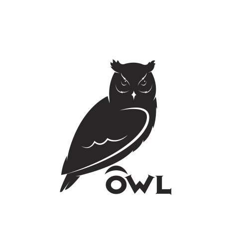 an owl design on white background bird animal vector