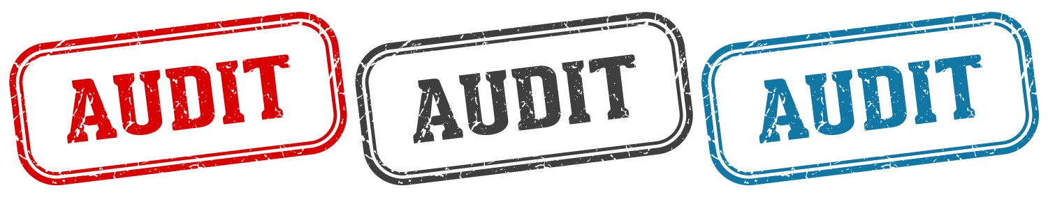 Audit stamp rectangular set isolated Vector Image