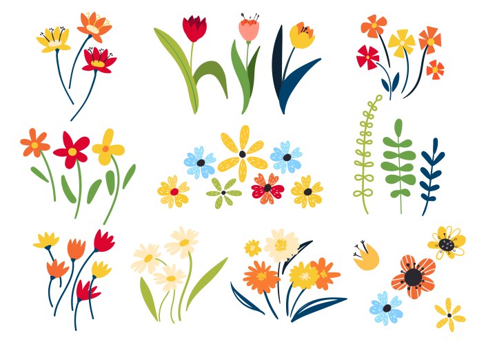 Blooming Floral Collection Vector Image