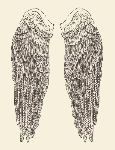 Engraved Angel Wings Sketch Vector Image