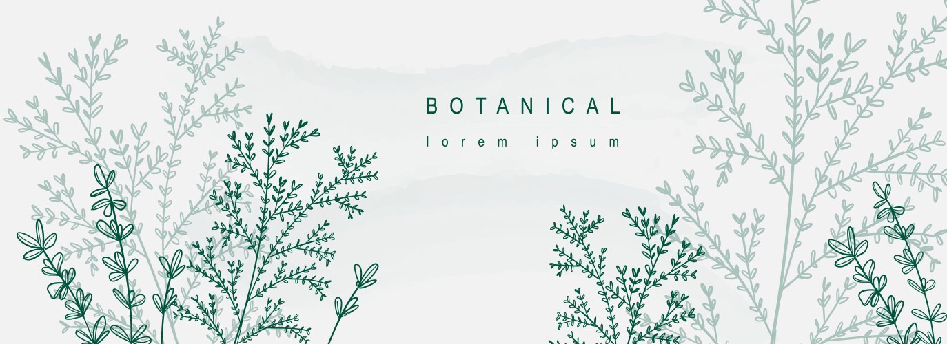 Botanical abstract background with floral line art vector image