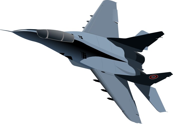 Fighter jet Vector Images & Graphics for Commercial Use | VectorStock