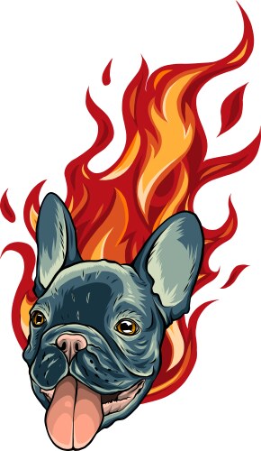 bull dog flame tattoo in beast mode vector