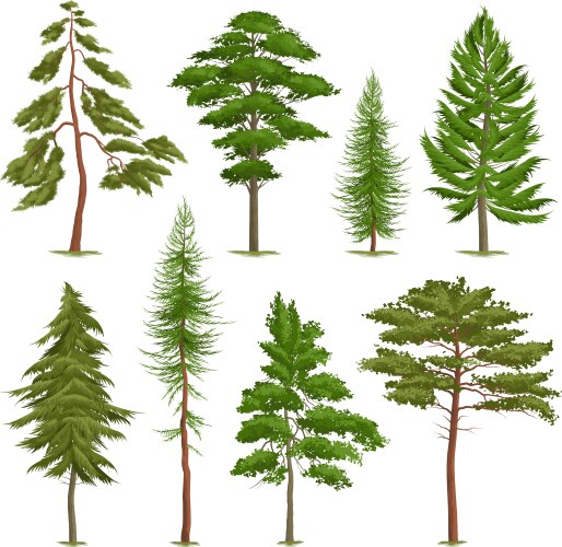 Tree Vector Images (over 1.5 million)