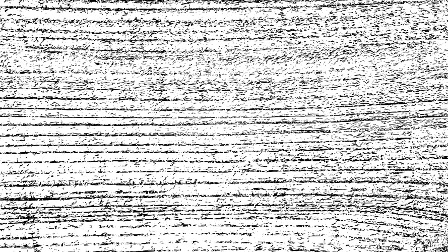 distressed wood texture vector image vector image