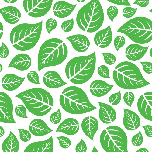 Monstera leaves seamless Royalty Free Vector Image