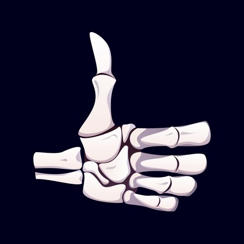Skeleton Hand Thumbs Up Gesture Vector Image