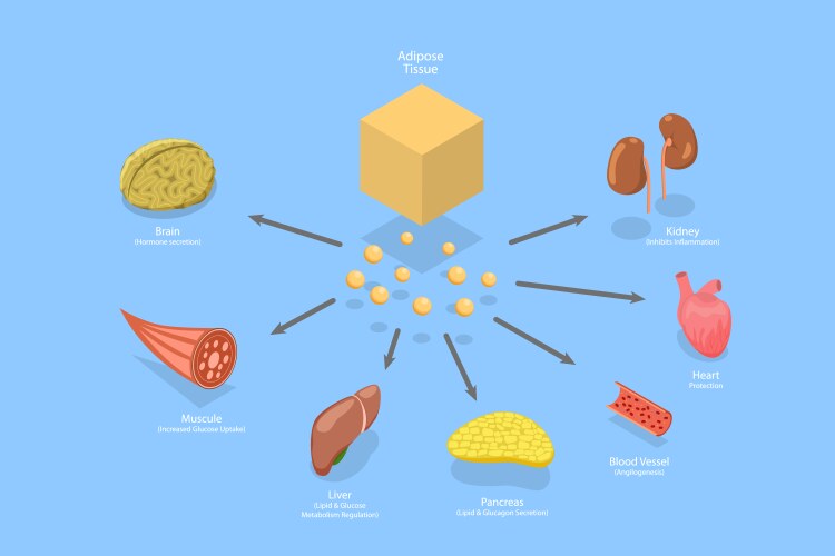 3d isometric flat conceptual vector image