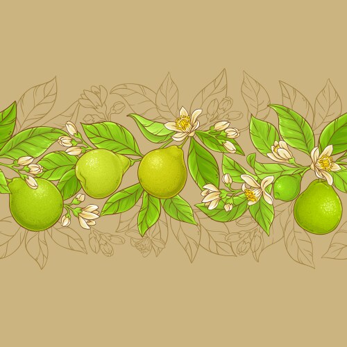 Bergamot frame Royalty Free Vector Image - VectorStock