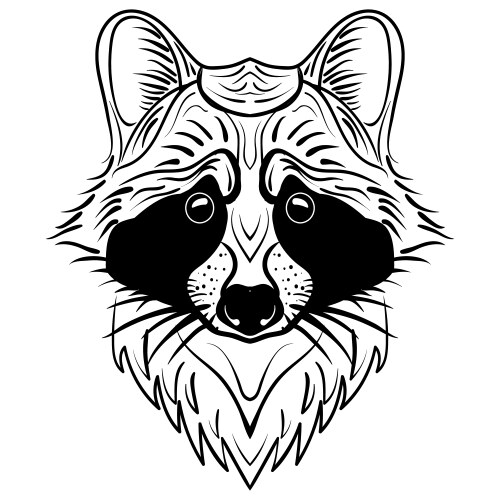 Raccoon Sketch - Hand Drawn Doodle Vector Image