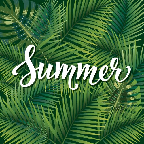 Summer poster hand lettering text on palm leaves vector image