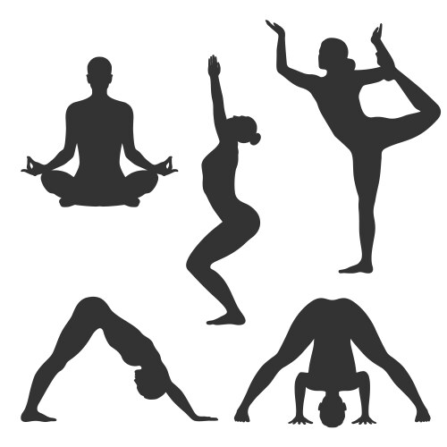 Poses yoga vector image