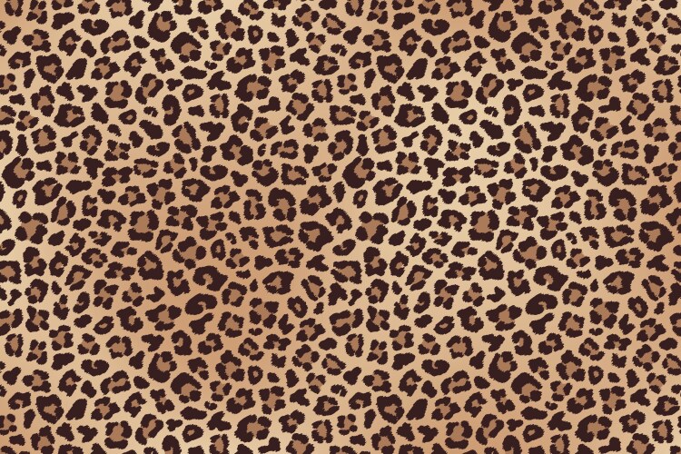 Seamless classic leopard texture pattern Vector Image