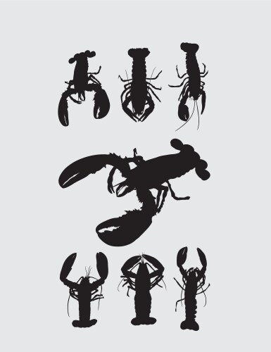 Rock lobster silhouettes Vector Image