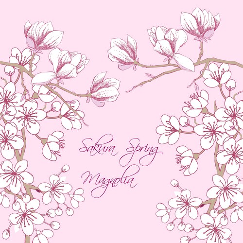 Sakura and Magnolia Spring Blossom Vector Image