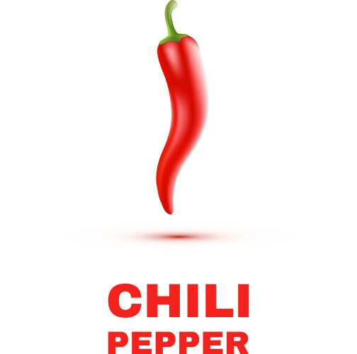 chili peppers isolated on white background vector image