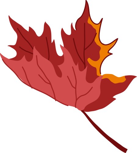 Red maple leaf cartoon Royalty Free Vector Image
