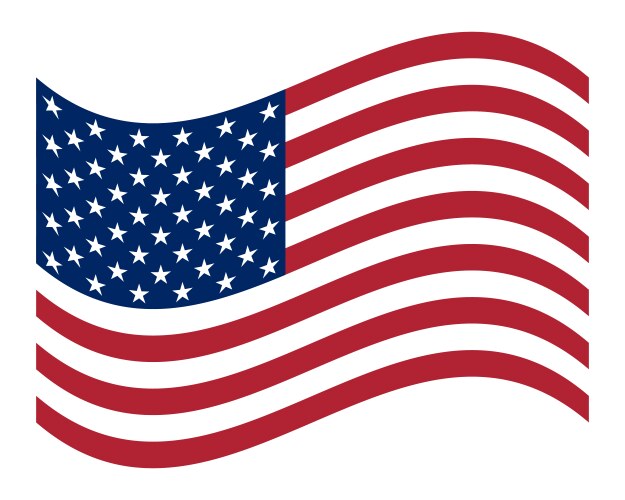 United States Flag Vector Image