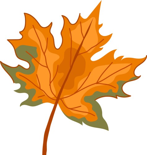 Red maple leaf cartoon Royalty Free Vector Image