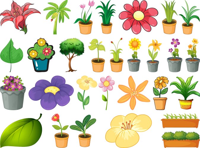 Large set different plants on white background vector image