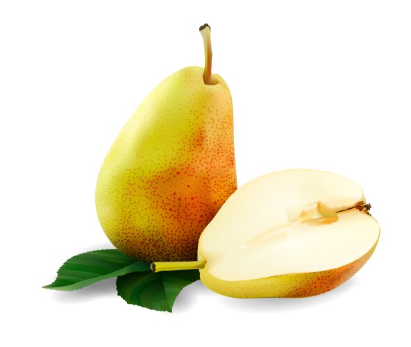 Pears Royalty Free Vector Image - VectorStock