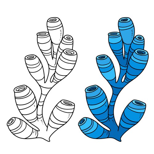 Blue tall sponge coloring book linear drawing Vector Image