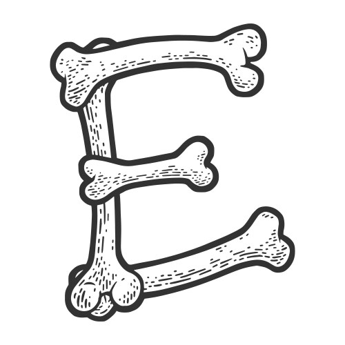 Bone Letter E Sketch Vector Image
